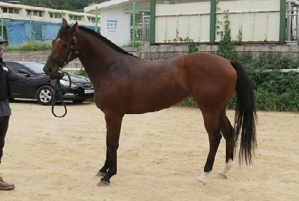 ��ġ���� ����