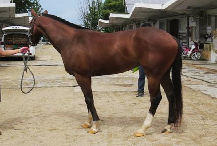 �ְ��ٶ� ����