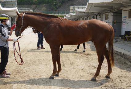 ��ĳ���� ����