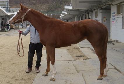 �ιٸ��� ����