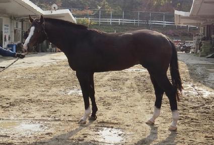 ��ٸ�����Ʈ ����