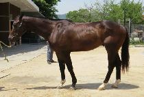 ��ũ������ (SECRET GANGJA) ����