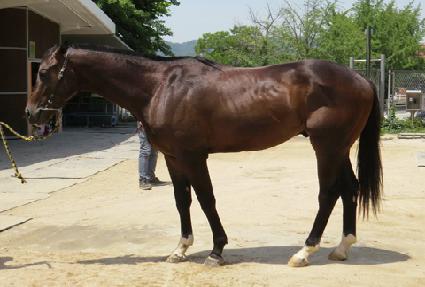 ��ũ������ ����