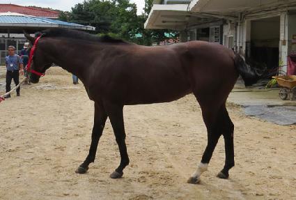 �ݷο� ����