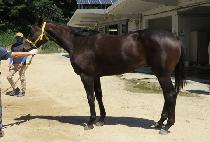 �ҳ��� (SONAMU) ����