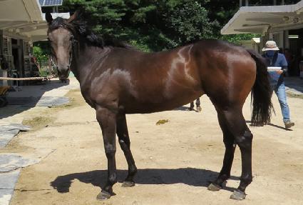 Ŭ����� ����