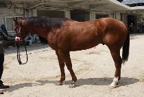 ������ (GYORYONG UNU) ����