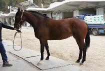 �÷������� (FLASH WIND) ����