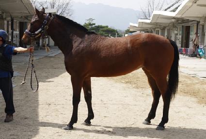 ��ƶ���� ����