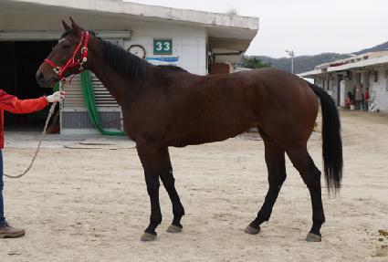 ��ϸ� ����