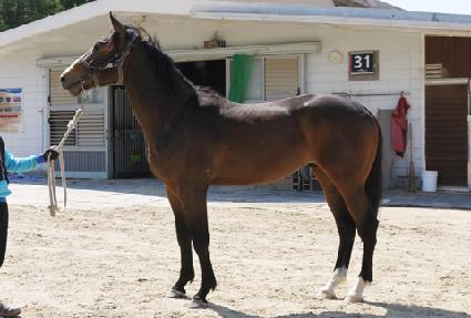 ���ҺҴ� ����