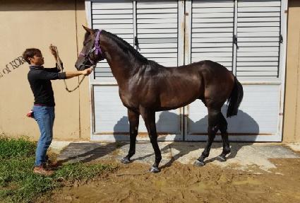 �������� ����