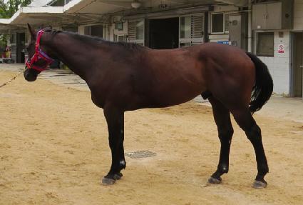 ����Ư�� ����