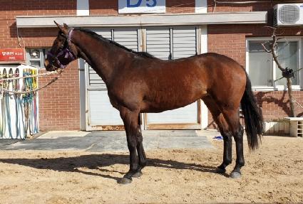 ����ȯȣ ����