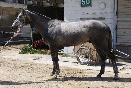 ���� ����