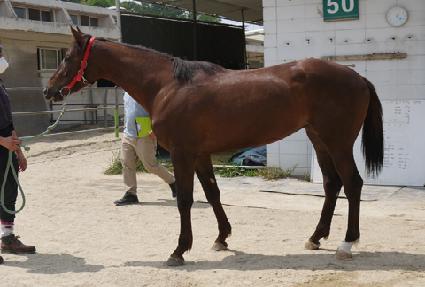 ����Ҹ� ����