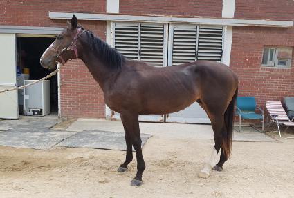 �����ǰ��� ����