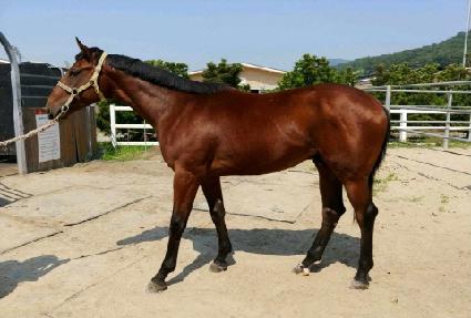 �������� ����