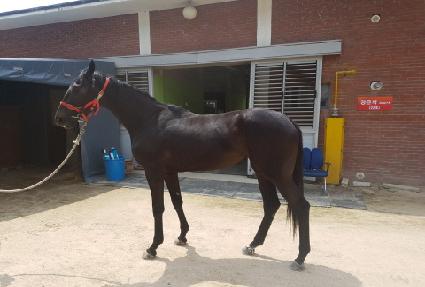 ���̽��� ����