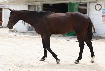 õ������ (CHEONSE MANSE) ����