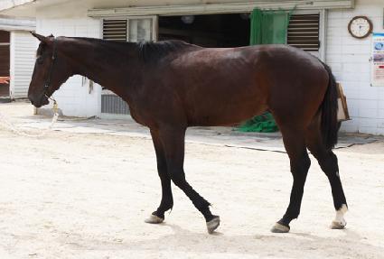 õ������ ����