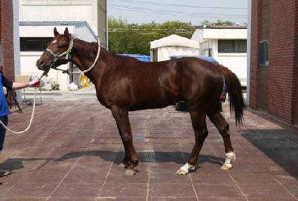 ���Ի��Ŀ� ����