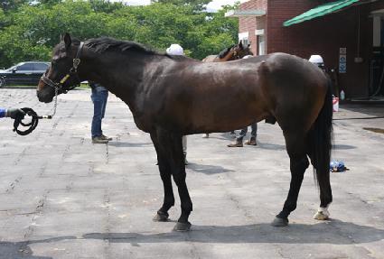 �������� ����