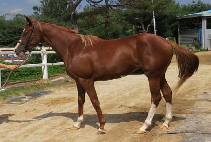 ����Ǯ�귯 ����