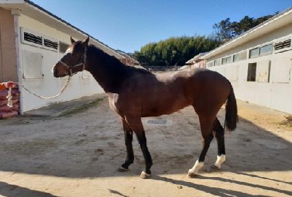 ������Ʋ�� ����