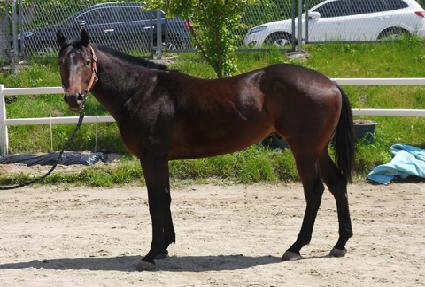 ��Ű���� ����