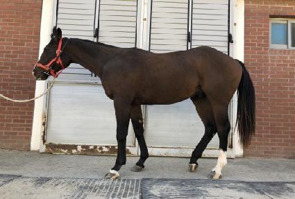 ��Ʈ���� ����