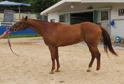 ���ǵ��ö��� ����