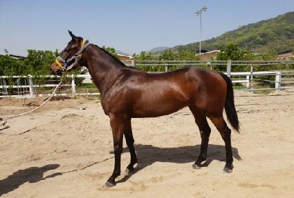 ����Ǯ���� ����