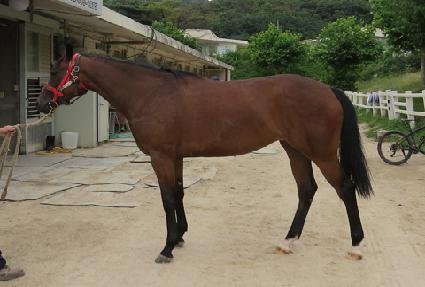 ����Ǯ��� ����