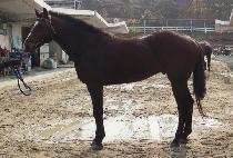 ���̳�ٵ�� (SOMETHING NOBODYNO) ����