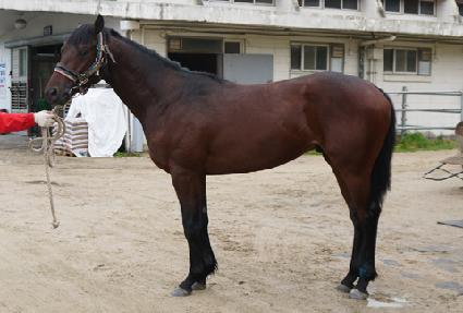 �帲���� ����