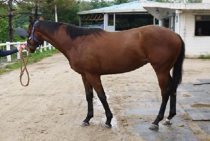 �������� ����