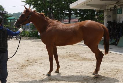 ���������� ����