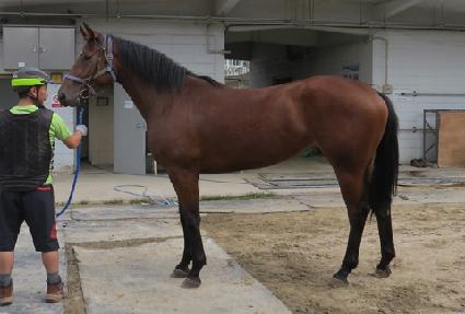 �������ǽ� ����