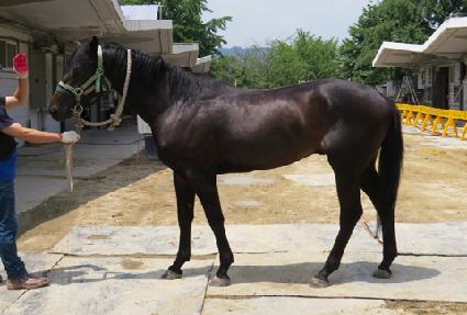 è������ ����