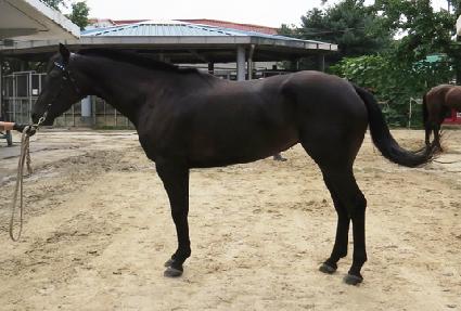 �ο�����Ʈ ����