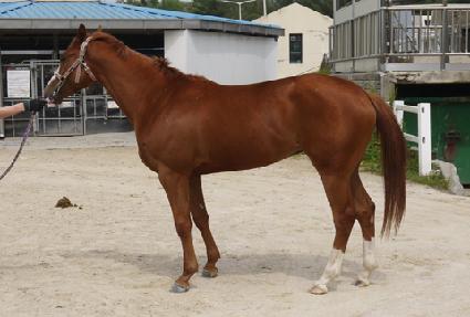 ����Ƽ�Ƶ� ����