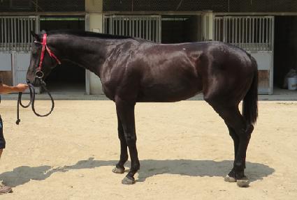 �۷ι����� ����