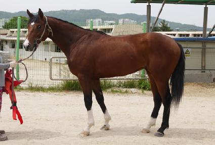 �ϴó��� ����