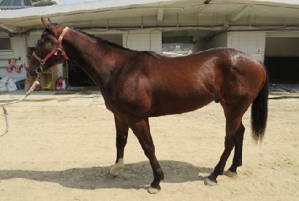 ���������̵� ����