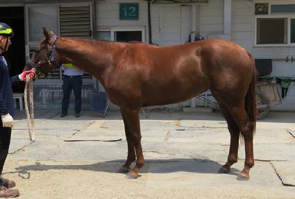 ������ ����