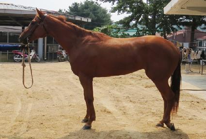 Ŭ���Ĵ��� ����