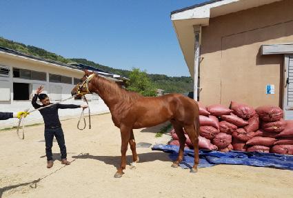 ������ ����