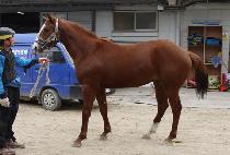 õ����� (CHEONJI GISANG) ����