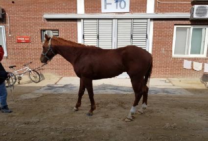 �ö������� ����